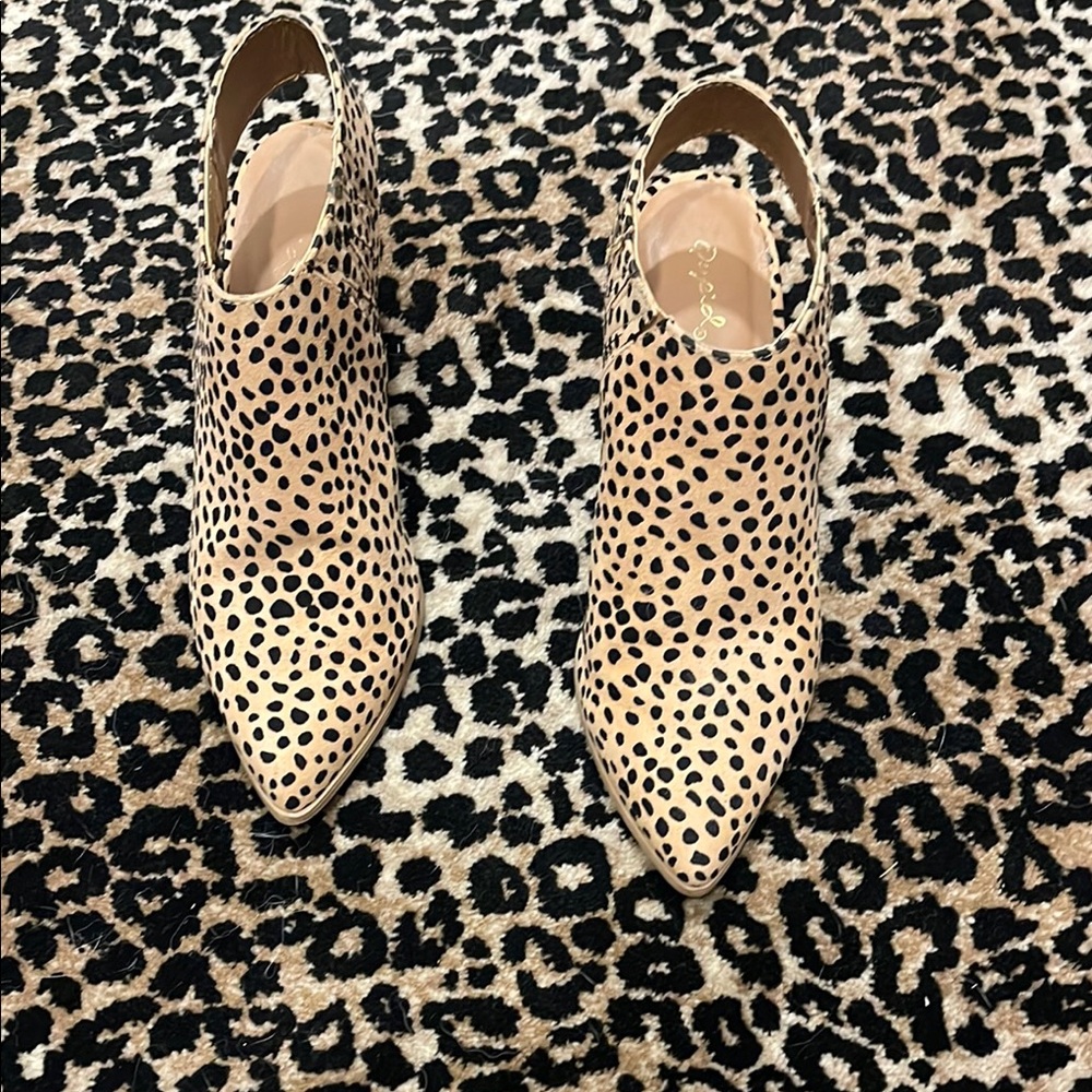 Leopard Print Women's Shoes